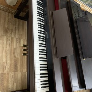 đàn piano điện Casio AP-460 (4)