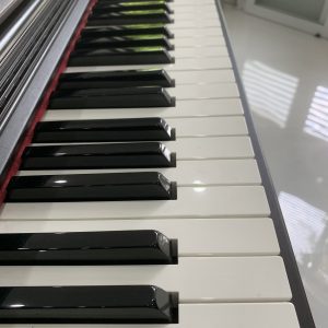 đàn piano điện Casio ap-31 (4)