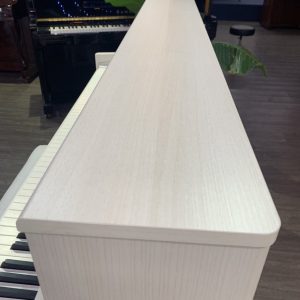 đàn piano điện Roland LX-705 (11)