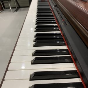 đàn piano điện kawai PN-380 (4)