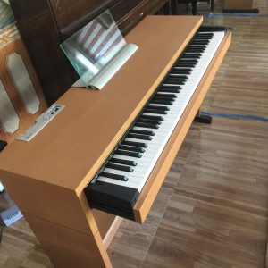 đàn piano điện Technics pxnp-10 (2)