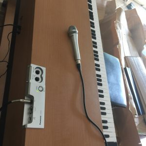 đàn piano điện Technics pxnp-10 (4)