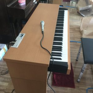 đàn piano điện Technics pxnp-10 (5)