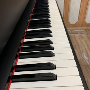 đàn piano điện giả cơ Kawai EGP-10 (2)