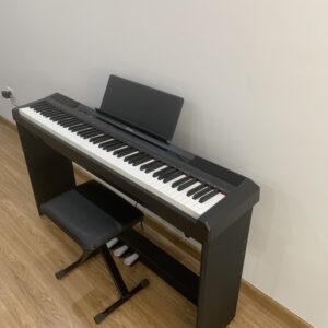 piano dien beisite moi dap hop